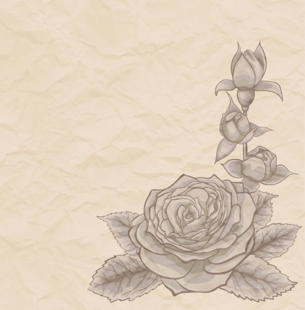 Vintage background. Beautiful rose in the corner of mint, old paper. Many similarities to the author's profileのイラスト素材