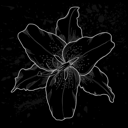 Beautiful contour lilies painted by hand on a vintage background in the spray and spots  Many similarities to the authorのイラスト素材