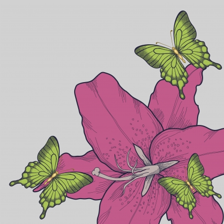 beautiful background for a card with butterflies, lilyのイラスト素材