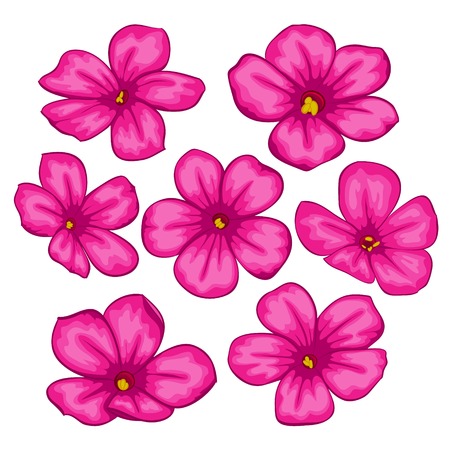 Beautiful Vector flowers set. Colorful floral collection with pink flowers.. for greeting cards and invitations of the wedding, birthday, Valentine's Day, mother's day and other seasonal holidaysのイラスト素材