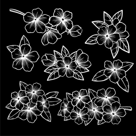 Beautiful monochrome black and white floral collection with leaves and flowers. for greeting cards and invitations of the wedding, birthday, Valentine's Day, mother's day and other seasonal holidaysのイラスト素材
