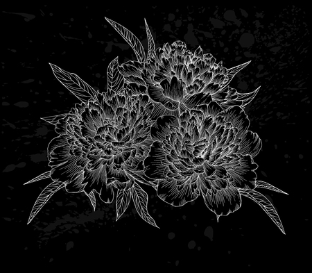 beautiful monochrome black and white bouquet peony isolated on background. Hand-drawn contour line. for greeting card and invitation of wedding, birthday, mother's day and other seasonal holidayのイラスト素材