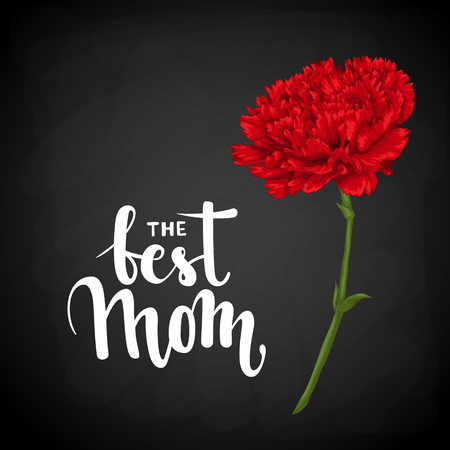 the best mom. Hand drawn brush pen lettering on shalkboard with red carnation. design for holiday greeting card and invitation of the happy mother day, birthday and Parents dayのイラスト素材