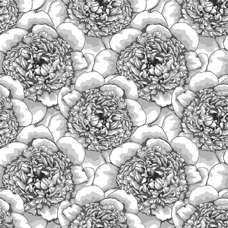 beautiful monochrome black and white seamless background peonies Hand-drawn. Design for greeting cards and invitations of wedding, birthday, Valentine s Day, mother s day and other seasonal holidayのイラスト素材