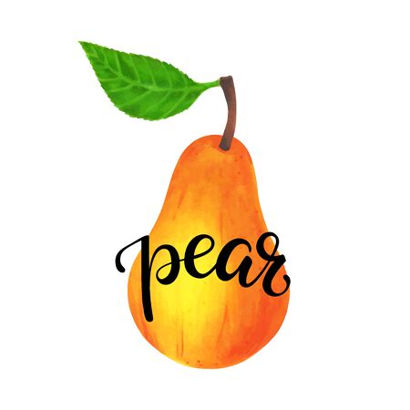 realistic yellow pear with leaf with lettering word pear. isolated on white background. Vector illustration.のイラスト素材