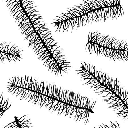 black and white Fir branch seamless pattern. Winter design for holiday greeting cards and invitations of the Merry Christmas and Happy New Year, winter holidaysのイラスト素材