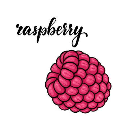 Beautiful cartoon pink raspberry with lettering word raspberry. design for holiday greeting card and invitation of seasonal summer holidays. Modern calligraphy for restaurant, cafe, bar menu designのイラスト素材