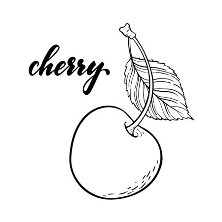 Beautiful cartoon black and white outline cherry with lettering text cherry. design for holiday greeting card and invitation of seasonal summer holidays, beach parties, tourism and travelのイラスト素材
