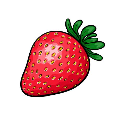 Beautiful cartoon red strawberry with black contour, symbol of summer. design for holiday greeting card and invitation of seasonal summer holidays, beach parties, tourism and travelのイラスト素材