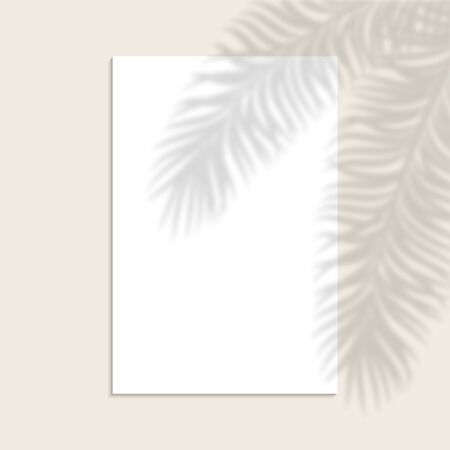 White vertical paper sheet with shadow overlay tropical palm leaf. Vertical business Card or wedding invitation mock up. Template Flyer, card, poster, blank, social media post in minimal trendy styleのイラスト素材