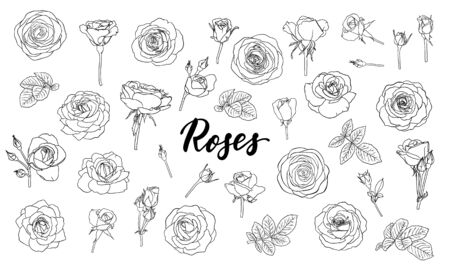 set of black and white outline roses, buds and leaves. Floral contour isolated on white background. design greeting card and invitation of the wedding, birthday, Valentine Day, mother s day, holidayのイラスト素材