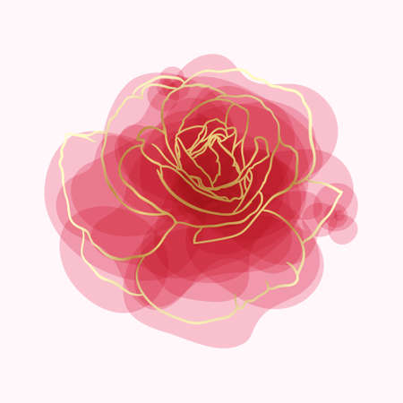 beautiful rose watercolor imitation hand-painted with golden outline isolated on white background.のイラスト素材