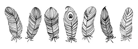 Set of black and white feathers collection. Floral hand drawn vintage set. Sketch art doodle illustration. Element design for greeting cards and invitations.のイラスト素材