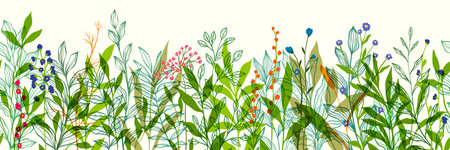 Seamless horizontal border, abstract art with summer meadow plants, wild flowers, leaves, branch and Hand Drawn doodle Scribble floral plants. Design for wall decoration, postcard, poster or brochureのイラスト素材