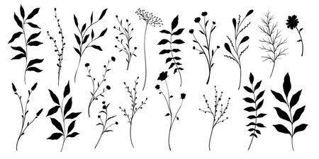 Set of branch and leaves collection. Floral hand drawn vintage set. Sketch line art illustration. Element design for greeting cards and invitations of the wedding, birthdayのイラスト素材