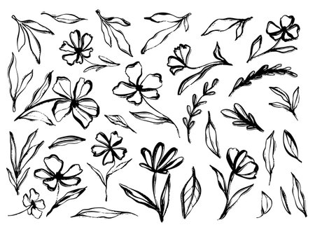Flower doodle hand drawn line stroke. Sketch hand drawn spring floral plant, nature graphic leaf, scribble grunge brush texture. Vector simple flower, leaf brush stroke. Vector illustrationのイラスト素材