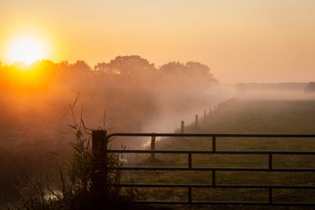 Beautiful misty morning in the Netherlands with an orange rising sun, picture tasks in the province of Overijsselの写真素材