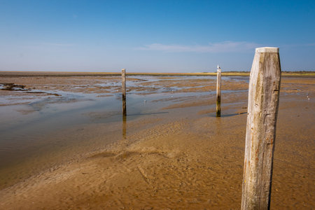 The Wadden Sea, with its fascinating interplay of high and low tide