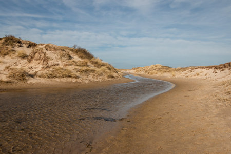 Walking through the slufter valley on the Wadden island of Texel, a sandy plain that is openly connected to the North Sea, the Netherlandsの写真素材