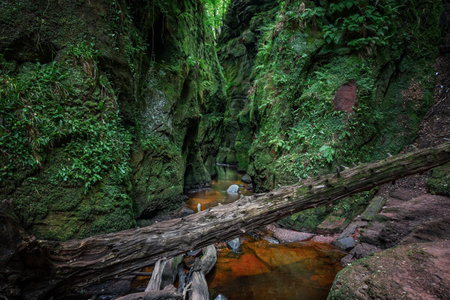 The Devils Pulpit a beautiful gorge in the Scottish landscape close to Loch Lomond and the Trossachs National Park. A former filming location for the Outlander seriesの写真素材
