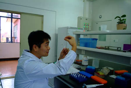 Young researcher working in biological labのeditorial素材