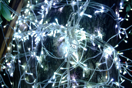 Decorative light bulbsの写真素材