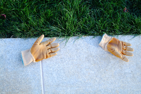 Gardening gloves  on the grasslandの写真素材