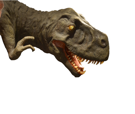 Tyrannosaurus Rex head buckteeth のeditorial素材