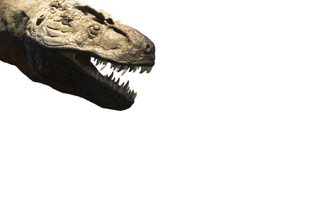 Tyrannosaurus Rex head buckteethのeditorial素材