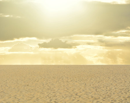 Desertの写真素材