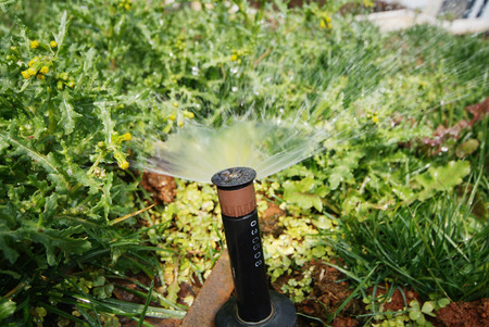 Sprinkler aiding water distribution to lawnのeditorial素材