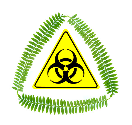 bio hazard conceptの写真素材