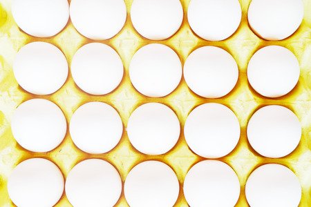 packed eggの写真素材