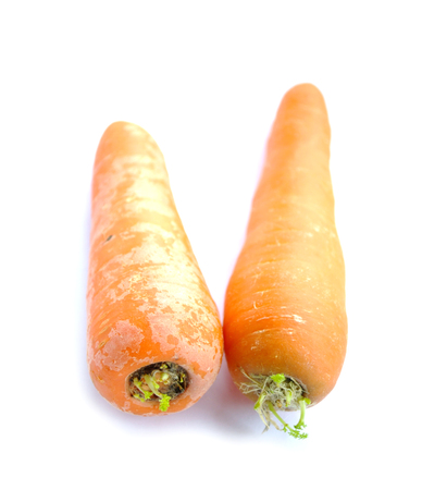 Carrotの写真素材