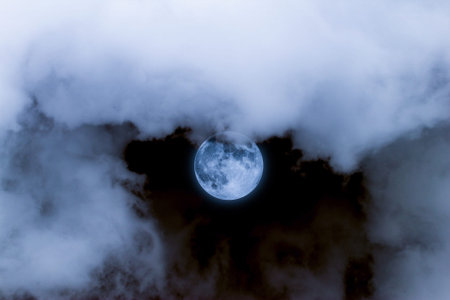 moonlight