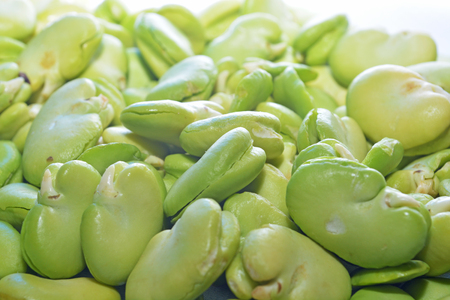 Broad beansの写真素材