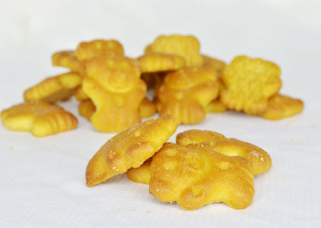 Bear biscuitsの写真素材