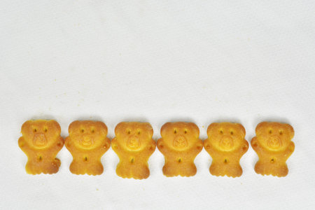 bear biscuitsの写真素材