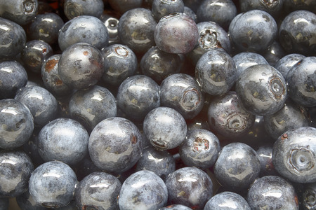 blueberriesの写真素材