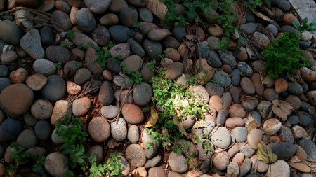 cobblestoneの写真素材