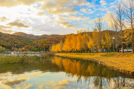 the morning scene of autumn on the lakeの写真素材
