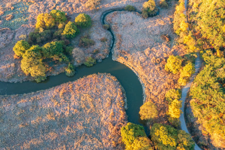An aerial view of the swamp in autumnの写真素材