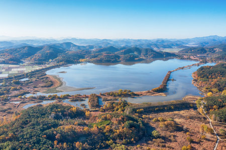 An aerial view of the swamp in autumnの写真素材