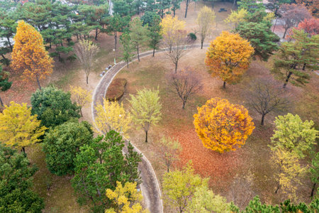 Aerial view of road in colorful forest in autumn.の写真素材