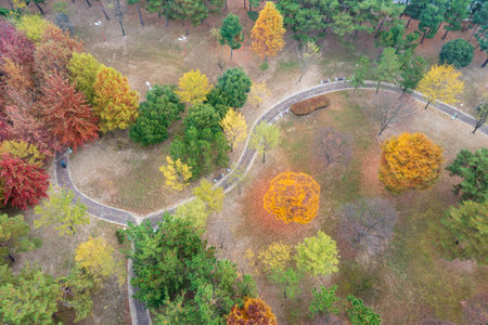 Aerial view of road in colorful forest in autumn.の写真素材