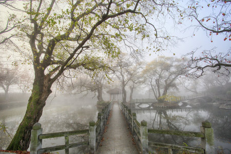 autumn pond scenery colored with autumn leavesの写真素材