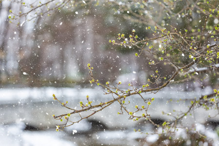 Beautiful snow landscape in winter time