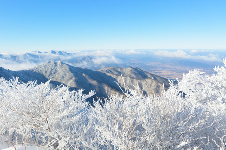 Snowy winter road in a mountain forest. Beautiful winter landscape.の写真素材