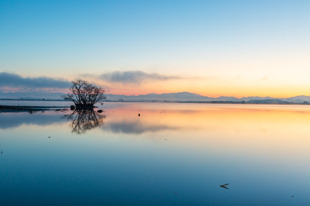 Winter Sunrise Scenery of Junam Reservoir in Koreaの写真素材