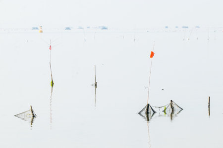 the morning scenery of Gwangam Port in Koreaの写真素材